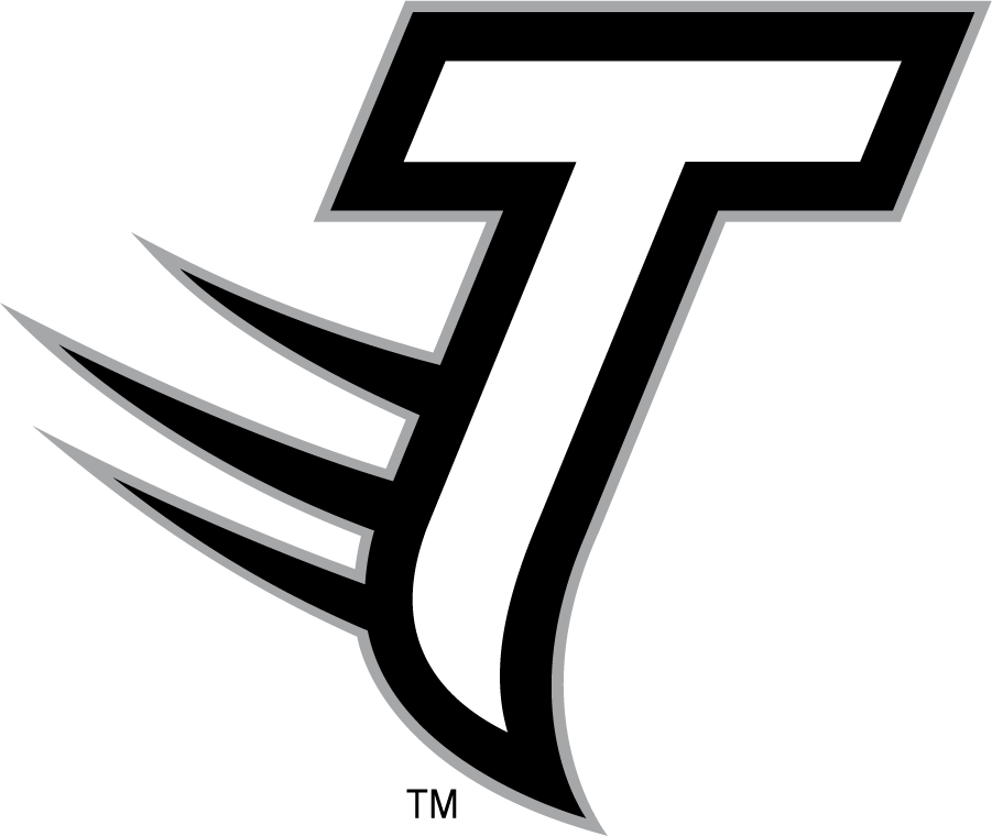 Towson Tigers 2002-2011 Secondary Logo diy iron on heat transfer
